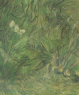 Vincent Van Gogh Two White Butterflies (nn04) France oil painting art